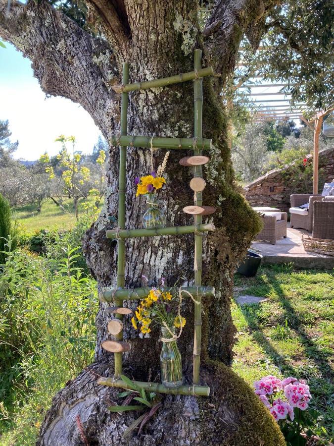 Mouronho Porturama Bed & Breakfast エクステリア 写真